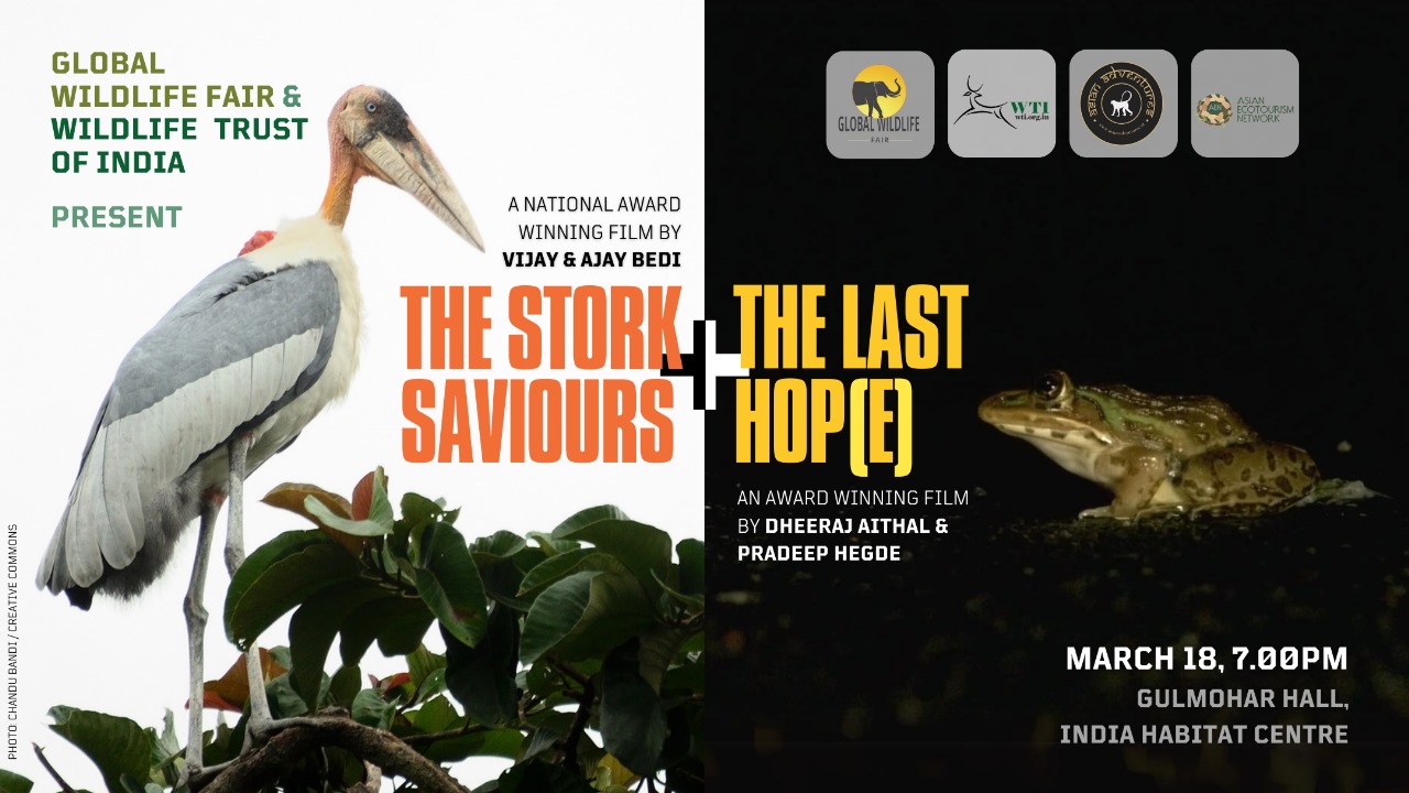 The Hornbill Action Plan