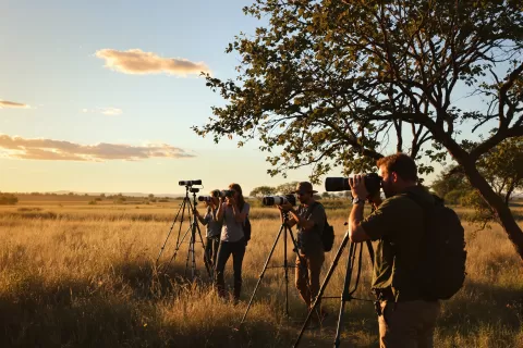 Wildlife Workshops